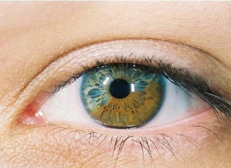 Цвет наших глаз — это как отпечаток пальцев