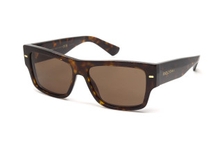 Солнцезащитные очки DG 4451 502/73 55 - linza.com.ua
